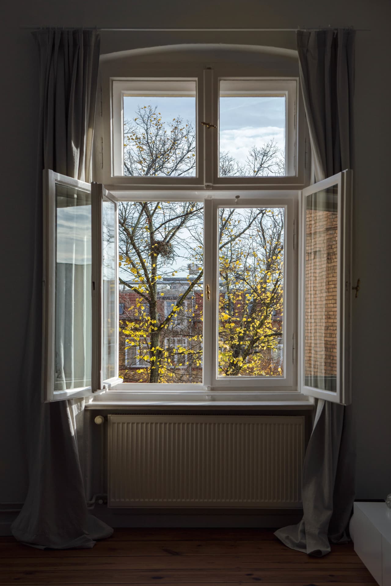 Open sash window ventilating a room with a view of trees outside